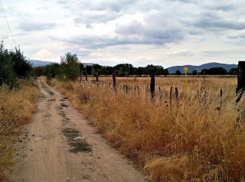 Randonnée A pied Collado Villalba - CV 2 - Camino de las Ventas de El Escorial - Photo