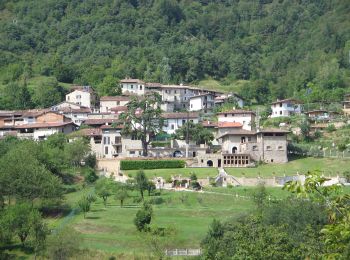 Randonnée A pied Caino - Caino (Villa Sera) - Santuario di Conche - Colle di Sant'Eusebio - Photo