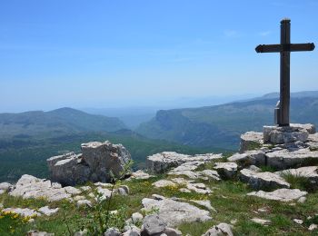 Randonnée Marche Gréolières - Gréolières les Neiges - Collet de Barri- Cime du Cheiron - Croix de Verse - Combe d'Henry - Photo