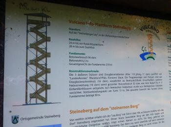 Percorso A piedi Steineberg - HeimatSpur Keltenrundweg - Photo