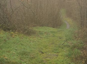 Randonnée Marche Husseren-Wesserling - nouveau  sentier  - Photo