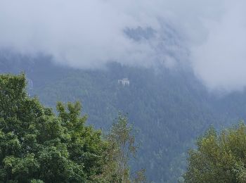 Randonnée Marche Chamonix-Mont-Blanc - J24 - R24 - Cascade du Dard - Lac des Gaillands 
 - Photo