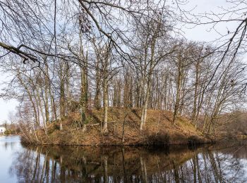 Excursión A pie Wegberg - Nordic Walking Park Wegberg Route Blau - Photo