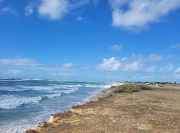 Excursión Cicloturismo Saint-Denis-d'Oléron - Oleron 2 - Photo