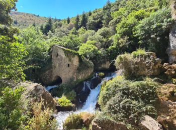 Tocht Stappen Vissec - vissec-navacelles-vissec - Photo