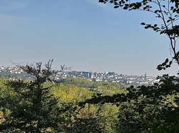 Tour Wandern Saint-Gervais-la-Forêt - La Chaussée St Victor  - Photo