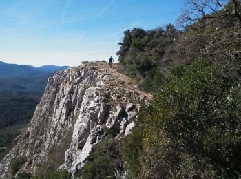 Tocht Mountainbike La Roquebrussanne - Barres de Cuers - Photo