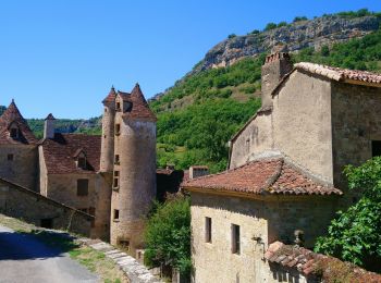 Excursión Marcha nórdica Loubressac - Loubressac, Autoire, château des anglais.  - Photo