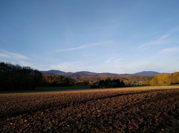 Randonnée Marche Sentheim - Sentheimtour Covid série 2 - Photo