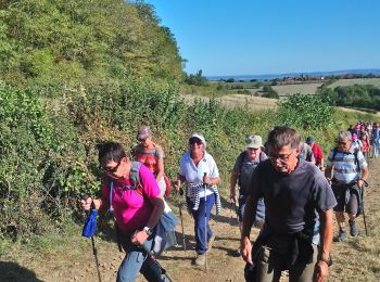 Randonnée Marche Saint-Martin-du-Tartre - st Martin du tartre gr 3. 10km - Photo