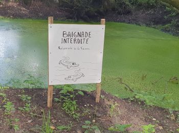 Tour Wandern Nieul-lès-Saintes - Nieul les Sainres - Photo