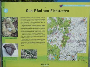 Tocht Te voet Eichstetten - Geo-Pfad Eichstetten - Photo