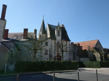 Trail Walking Coteaux-sur-Loire - Saint-Michel-sur-Loire - GRP Coteaux de Bourgueil Saint-Patrice - 21.7km 240m 4h45 (35mn) - 2023 04 19 - Photo