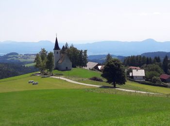 Tocht Te voet Slovenska Bistrica - Gozdna učna pot Bojtina (pohodna pot) - Photo