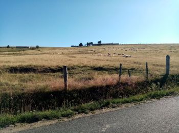 Randonnée Marche Saint-Bonnet-le-Courreau - les jasserie de Garnier - Photo