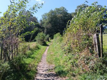 Tour Wandern Sprimont - dolembreux - chapli - lince - Photo