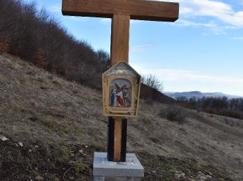 Tocht Te voet Sovata - Săcădat - Valea Isuica - Vf. Becheci - Photo