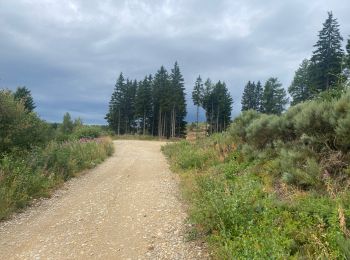 Excursión Bici de montaña Arzenc-de-Randon - Fait GTMC 2022  E2 3,3 b - Photo