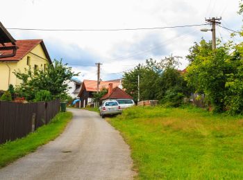 Trail On foot Havlíčkův Brod - NS Park Budoucnost - Vlkovsko - Photo