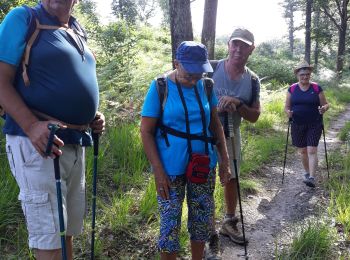 Tour Wandern L'Orbrie - balingue - Photo