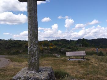 Trail Running Rocles - Rocles - Photo