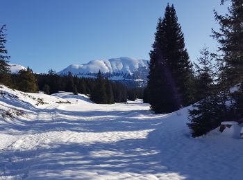 Tocht Sneeuwschoenen Saint-Agnan-en-Vercors - la coche - Photo