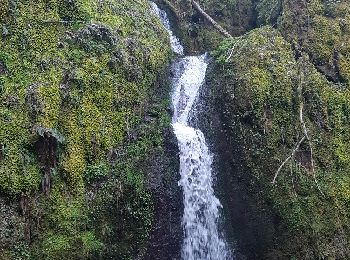 Tour Wandern Urmatt - Cascade de Soultzbach - Montpellier-Le-Vieux - Photo