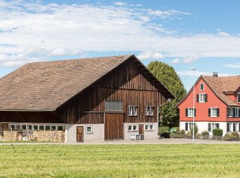 Randonnée A pied Hefenhofen - Hefenhofen - Kesswil - Photo