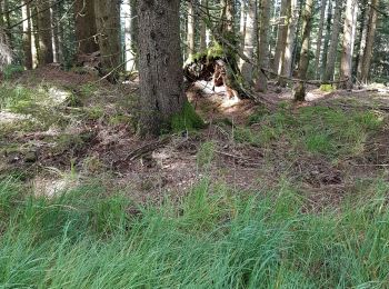 Tour Wandern Vexaincourt - la Maix - Photo