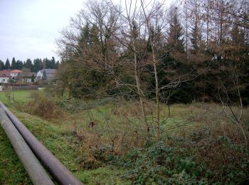 Randonnée A pied Gampern - Felderrundweg - Photo