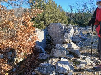 Excursión Senderismo Cabris - Dolmen, Pierre Druidique, Croix de Cabris   - Photo