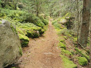 Excursión Senderismo Ribeauvillé - boucle la grande verrerie-roche des 3 tables-roche des reptiles-roche des géants-la grande verrerie  - Photo