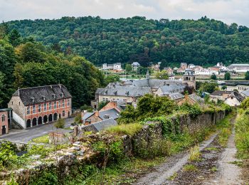 Tocht Stappen Yvoir - GG2-Na-38_Godinne-Dinant (2021-11-04) - Photo