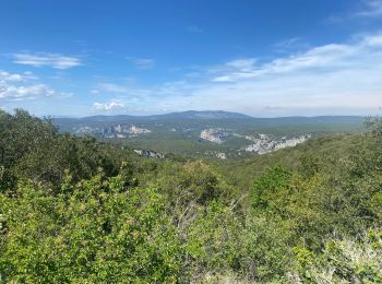 Tour Wandern Le Garn - Le Garn à l’Ardeche - Photo