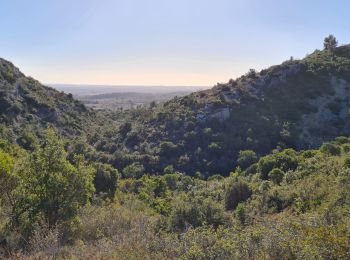 Tocht Stappen Garrigues - garrigues-Bois et grotte de Paris - Photo