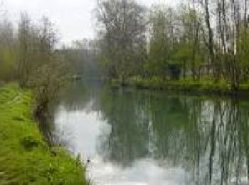 Excursión Senderismo Ligny-sur-Canche - LIGNY SUR CANCHE - Le fond de Boubers - Photo