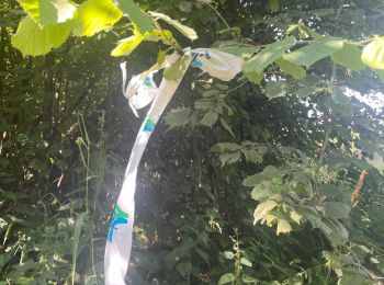 Trail Walking Mettet - Ermeton sur Biert (à corriger) - Photo