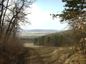 Tour Zu Fuß Zditz - [Z] Zdice - Koukolova hora - Photo