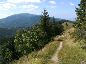 Trail On foot Gemeinde Trattenbach - Baumgarten - Kummerbauerstadl - Erzkogel - Photo
