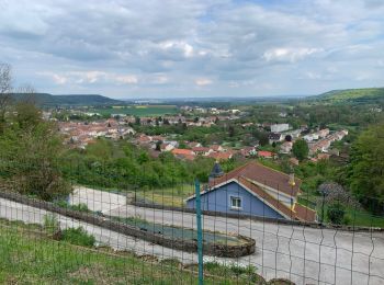 Tocht Stappen Laneuveville-derrière-Foug - Boucle Laneuveville derrière Foug -Lay St Rémy - Foug - Photo