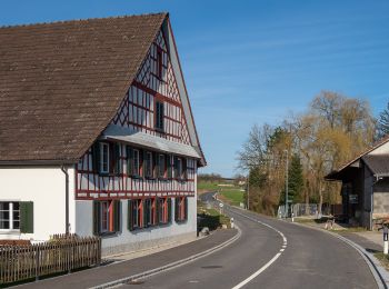 Tocht Te voet Weinfelden - Stelzenhof - Ellighausen - Photo