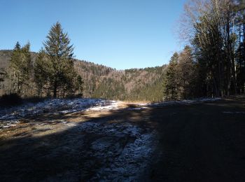 Randonnée Marche Sewen - Sewen chalet du Graber - Photo