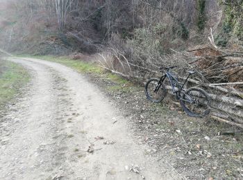 Excursión Bici de montaña Chatte - chemin du tram part1 - Photo