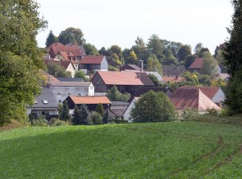 Percorso A piedi Aufseß - Räuberhöhle Hohlloch - Photo