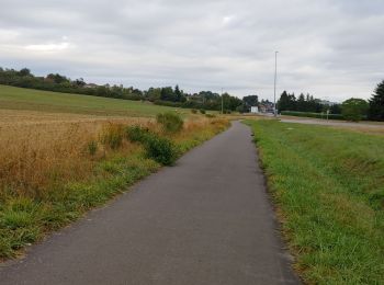 Randonnée Vélo de route Saulny - euromoselle - Photo