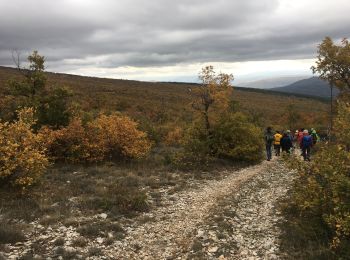 Excursión Senderismo Cruis - Jas Neuf, Jas pierrefeu et Jas Roche - Photo