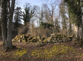 Excursión Senderismo Heiligenstein - 2022-02-12-Balade au Château du Landsberg - Photo