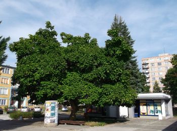 Excursión A pie okres Trenčín - IVV5 - JANOV CHODNÍK (dlhá rodinná trasa) - Photo