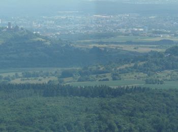 Percorso A piedi Biebertal - Forstweg - Photo