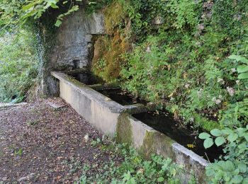 Randonnée Marche Florac Trois Rivières - GR 70 et G r 43 tronçon. - Photo